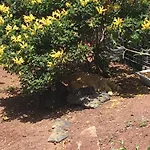 Brisas Complex, 104 Dom wakacyjny Playa Blanca (Lanzarote)
