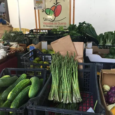 Hébergement de vacances Brisas Complex, 104