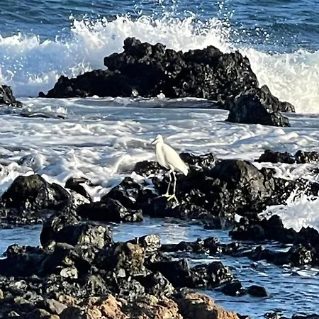 Brisas Complex, 104 Hébergement de vacances *