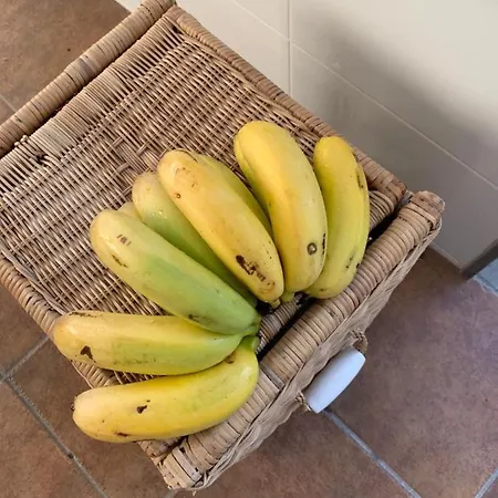 Hébergement de vacances Brisas Complex, 104 Playa Blanca (Lanzarote)