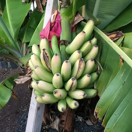 Hébergement de vacances Brisas Complex, 104 Playa Blanca (Lanzarote)