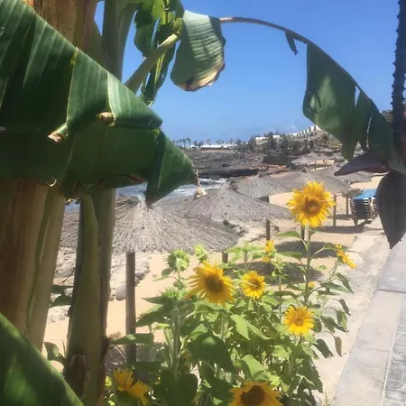 Brisas Complex, 104