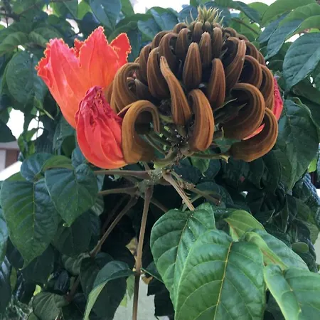 Brisas Complex, 104 Hébergement de vacances