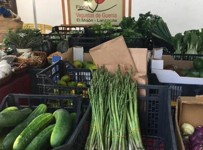 Dom wakacyjny Brisas Complex, 104