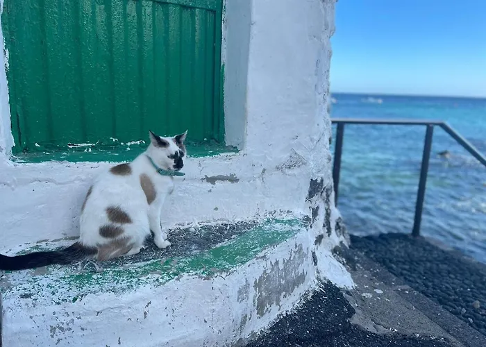 Brisas Complex, 104 Σπίτι διακοπών Πλάγια Μπλάνκα