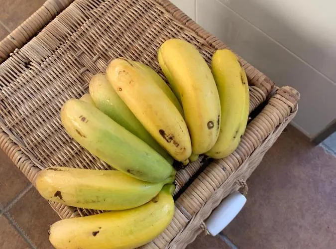 Σπίτι διακοπών Brisas Complex, 104 Πλάγια Μπλάνκα