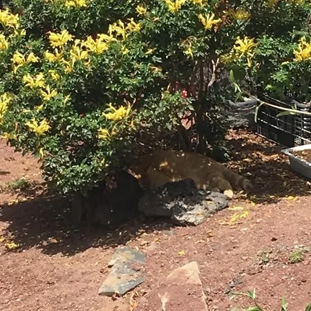 Brisas Complex, 104 Dom wakacyjny Playa Blanca (Lanzarote)