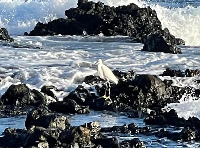 Brisas Complex, 104 Casa vacanze *