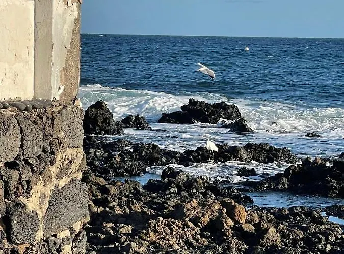 Brisas Complex, 104 * Playa Blanca (Lanzarote)