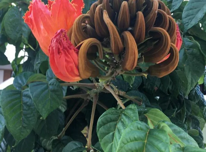 Brisas Complex, 104 Casa vacanze